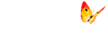 gas natural Fenosa